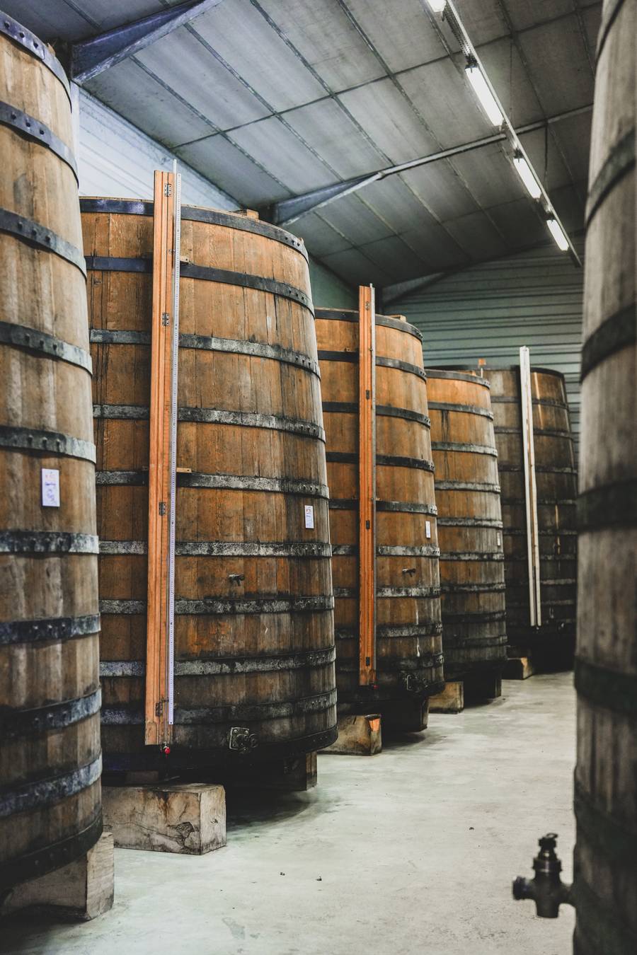 Foudre Ex Pommeau · Domaine du Coquerel